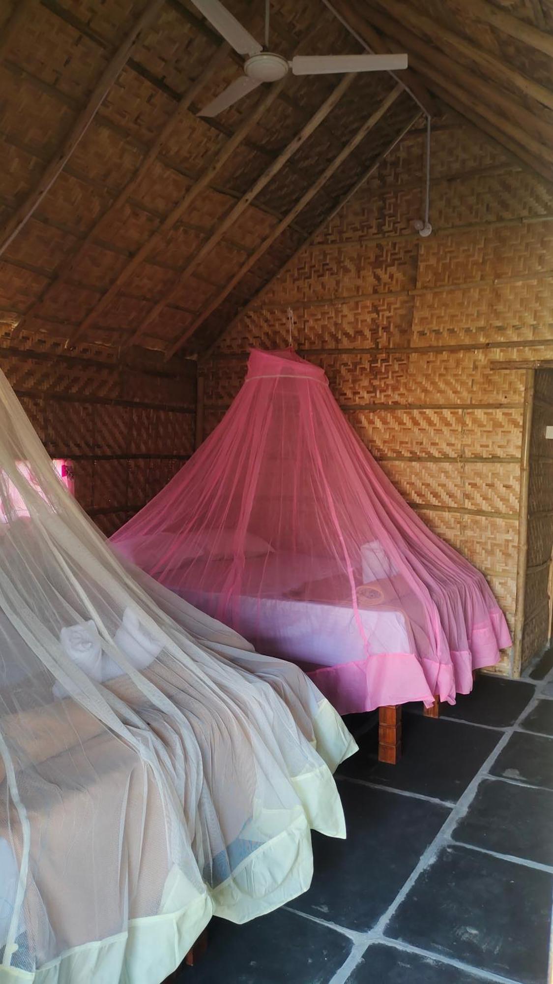 Waterfall Guesthouse 함피 외부 사진